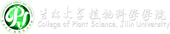 必赢bwin官方网站