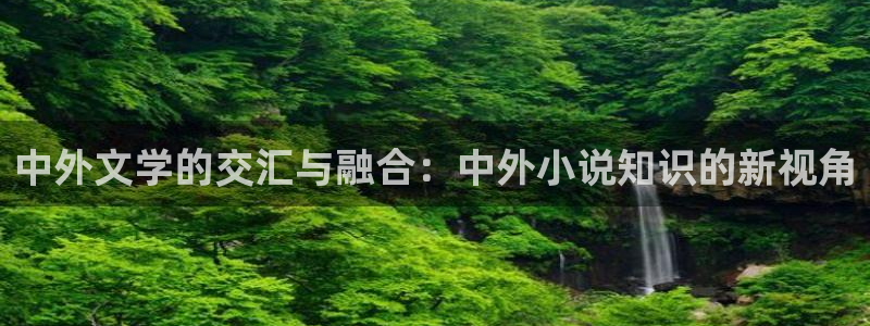 深夜书屋 小说阅读：中外文学的交汇与融合：中外小说知识的新视角