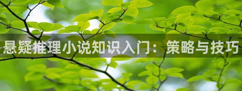 风起龙城 小说阅读：悬疑推理小说知识入门：策略与技巧